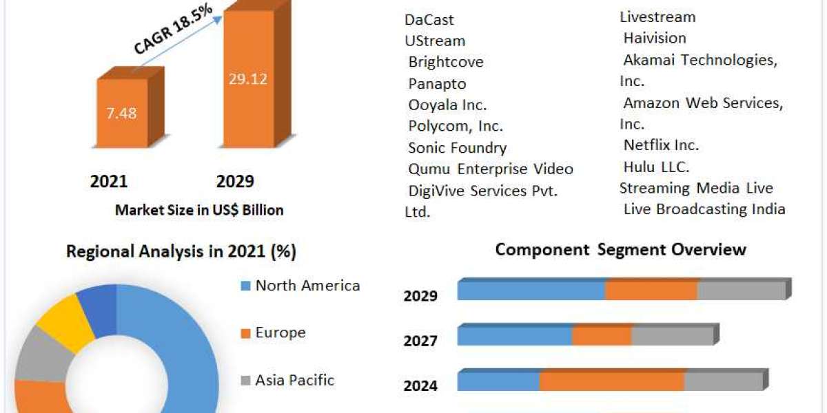 Visionary Streaming Solutions: A Market Overview (2022-2029)