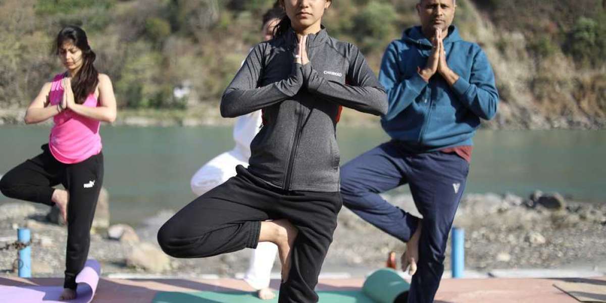 Discover How Yoga Teacher Training In Rishikesh, India, Can Enhance Your Quality Of Life