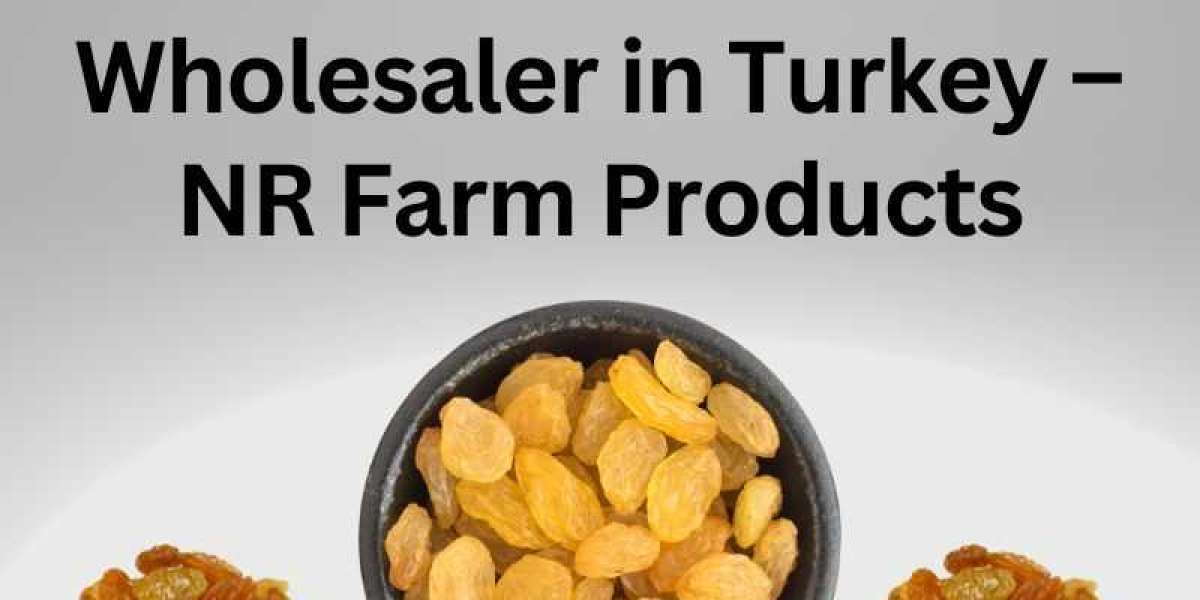 Premium Golden Raisins Wholesaler in Turkey – NR Farm Products