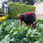 Reuben Nyamari Profile Picture