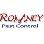 romney Profile Picture