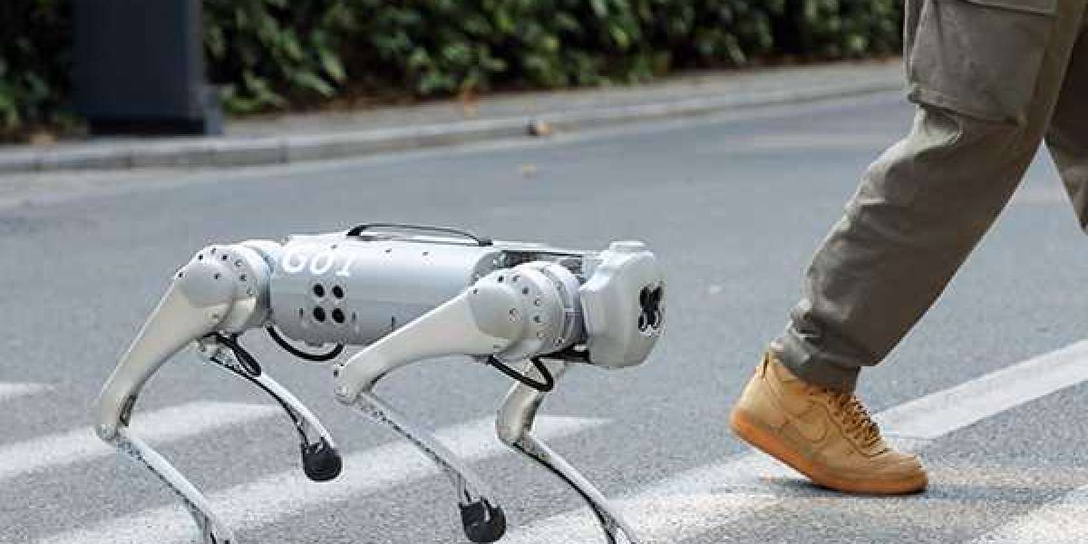 Cookie Robots: Combining Technology And Confectionery Delights