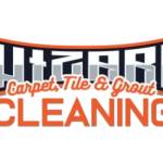 Wizard Cleaning Profile Picture