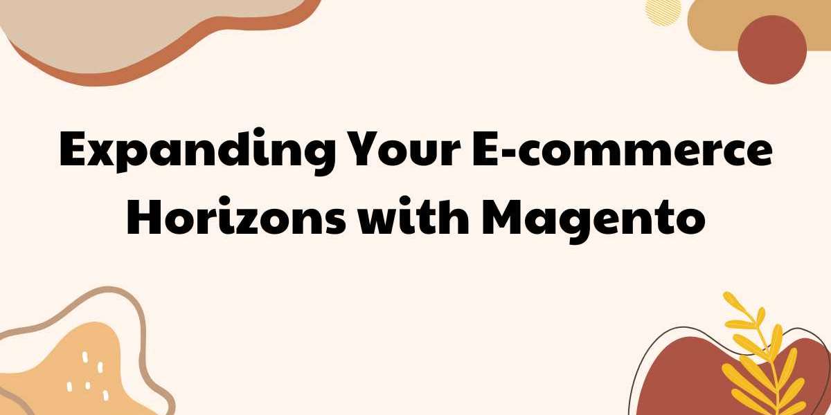 Expanding Your E-commerce Horizons with Magento