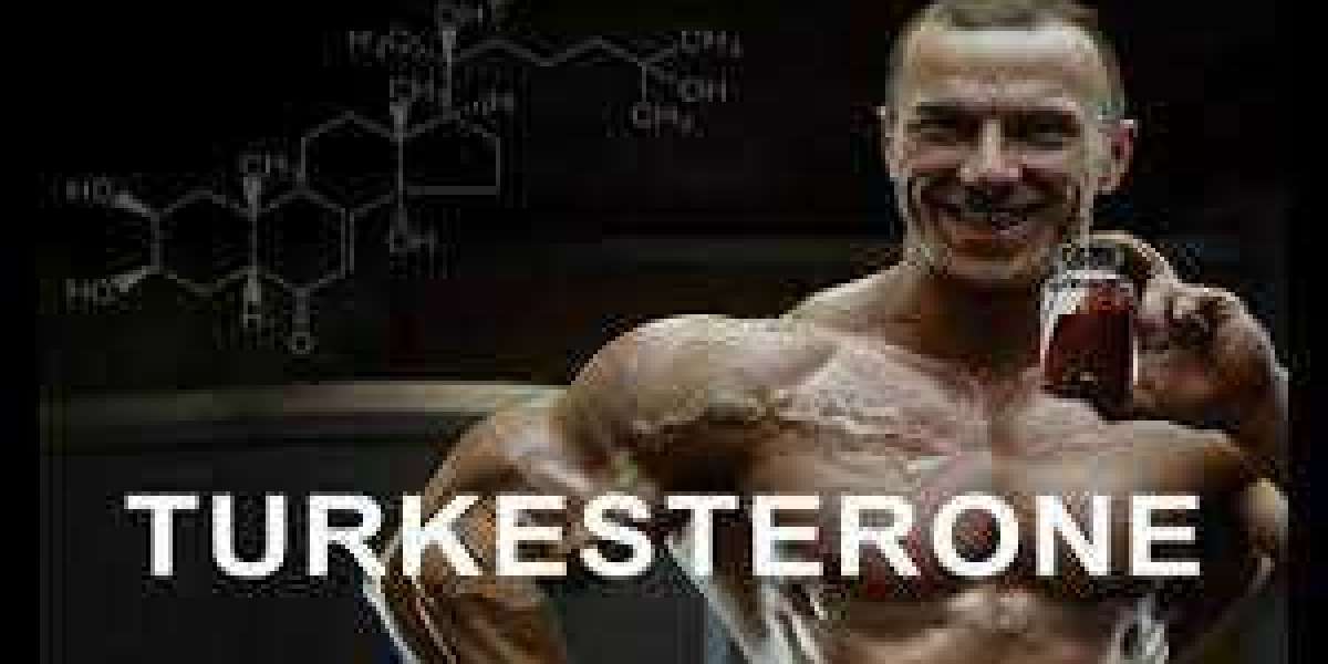 Unlocking the Potential of Turkesterone Supplements: A Comprehensive Guide