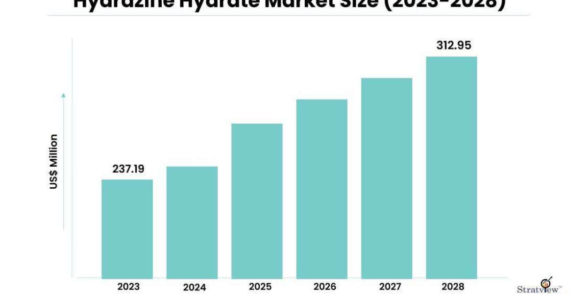 Hydrazine Hydrate Market Trends and Outlook, 2023-2028