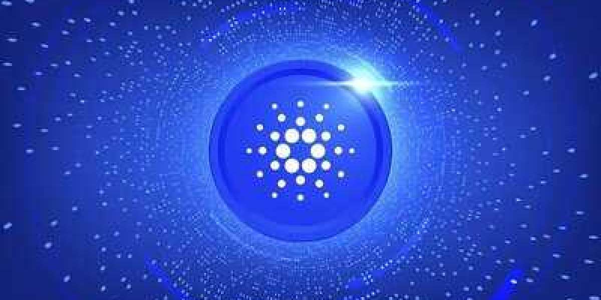 CARDANO BUILDER CELEBRATES NETWORK GROWTH AND FUTURE PLANS