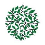 Asavi Profile Picture