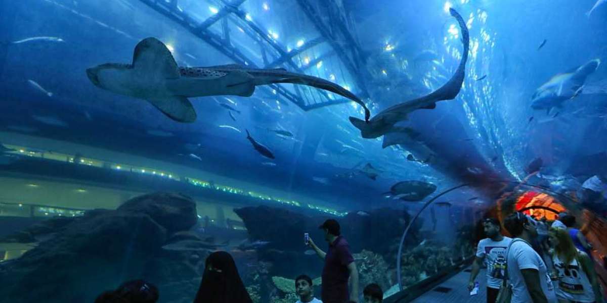 Dubai Aquarium and Underwater Zoo: A Subaquatic Wonderland