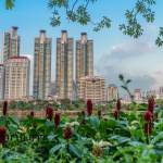 digitalnation agency Profile Picture