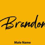brandon12 Profile Picture