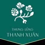 Thanh Xuan Valley Profile Picture