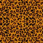 votox67656 Profile Picture