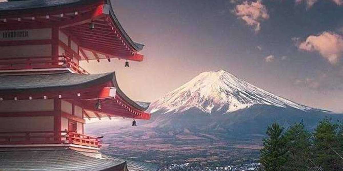 Captivating Mt. Fuji Tour from Tokyo | A Day in Nature's Beauty