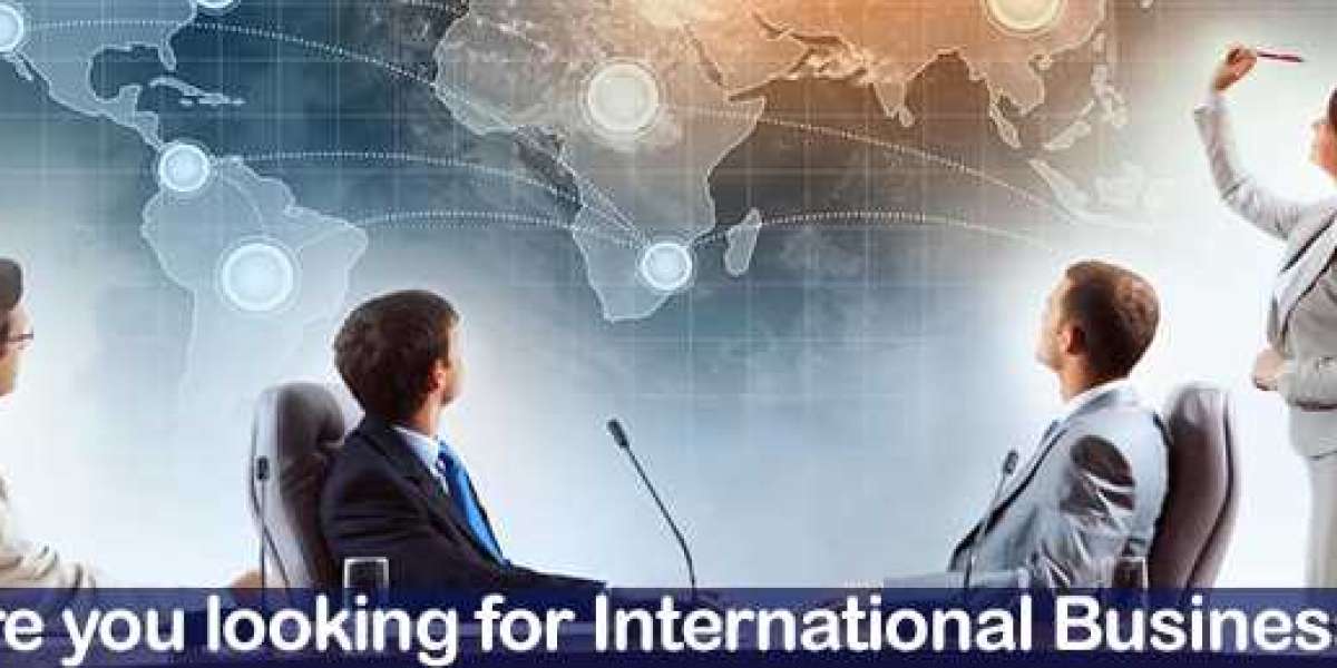 How to Get Started with International SEO for Your Business with Newtech Infosoft Pvt.Ltd.