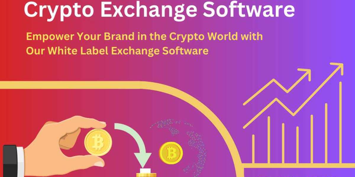 Creating a Brand in the Crypto Space: The Role of Whitelabel Exchange Software