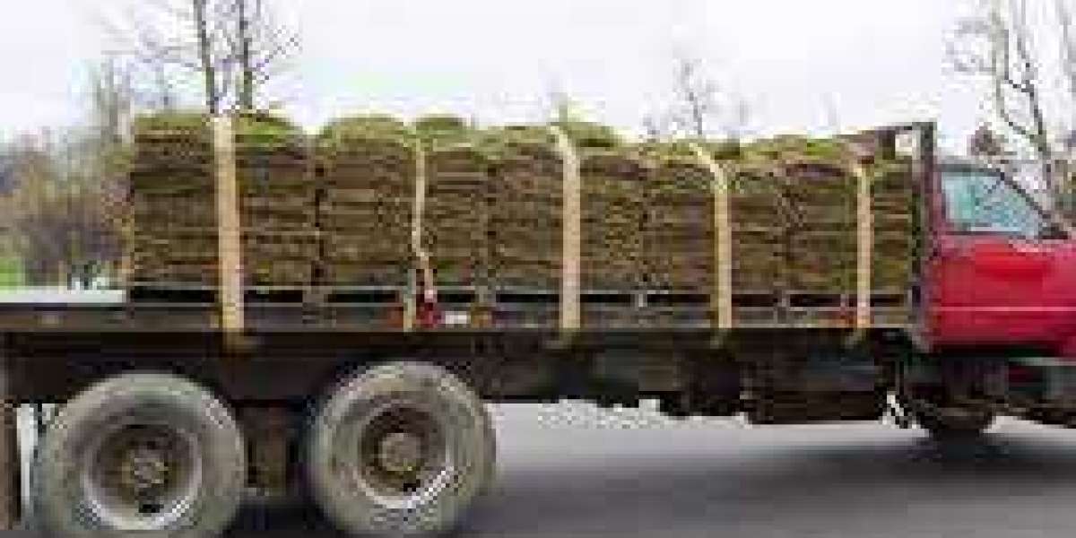 Premier Source for Quality Sod