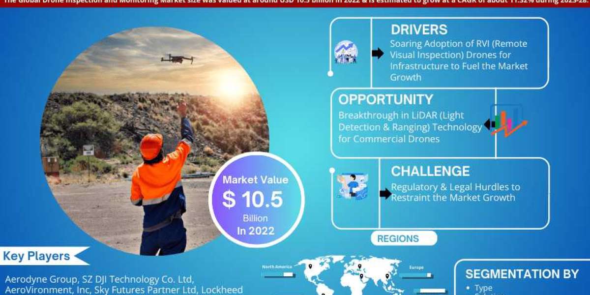 Exploring Global Drone Inspection and Monitoring Market Trends: Share and Size Analysis for 2028