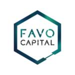 FAVO Capital Profile Picture