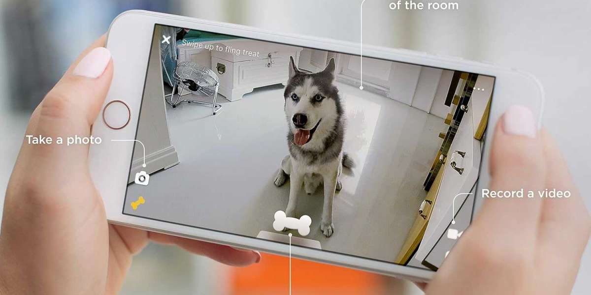 Pet Surveillance Made Easy: Choosing the Best WiFi Rotating Camera