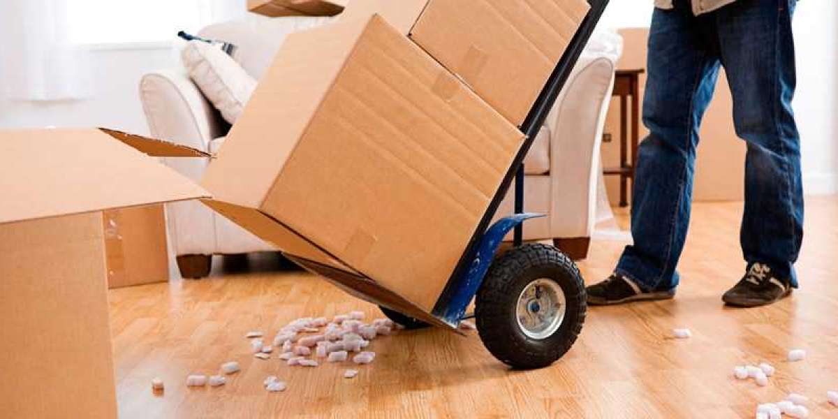 Navigating the Scenic Route: Finding the Perfect Chilliwack Moving Company