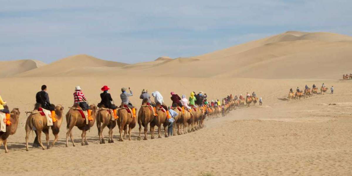 Unveiling the Enigmatic Northwest Silk Road: Discover the Hidden Treasures with Minzifa Travel