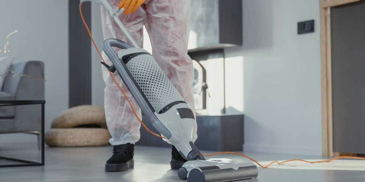 Effective Pest Control Methods To Safeguard Your Home In Ajman