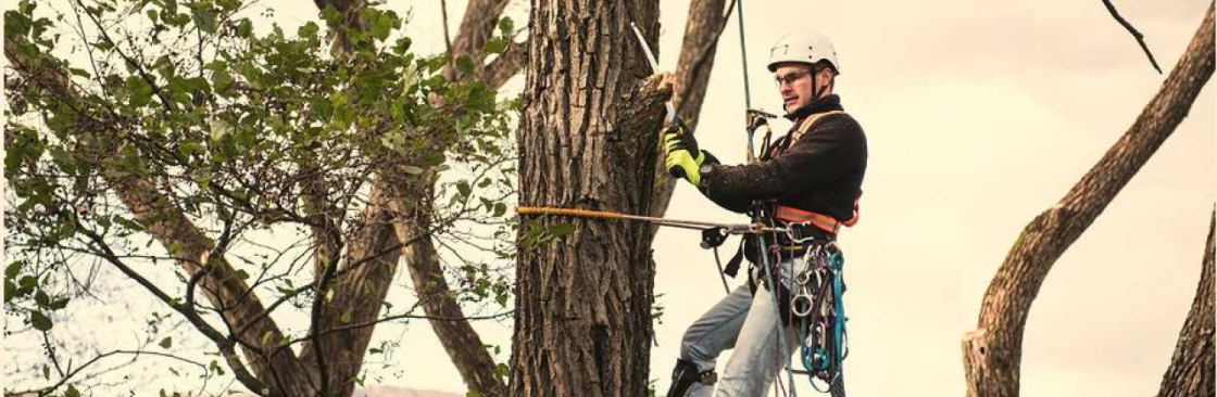 Best Arborists Melbourne Cover Image