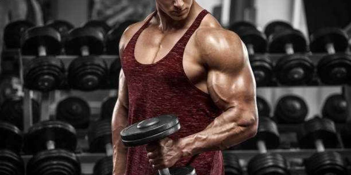 Enhanced Nitrogen Retention: The Key to Muscle Growth with Anabolic Steroids*