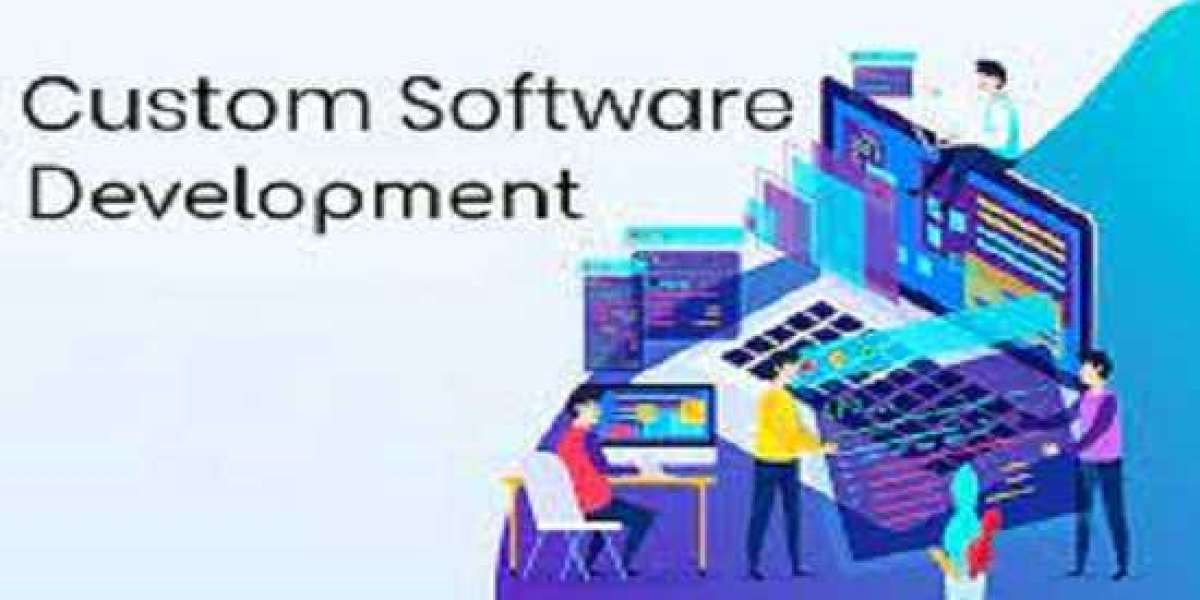 Custom Software Development Company