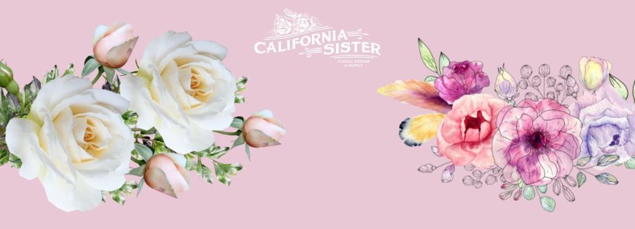 California Sister Cover Image