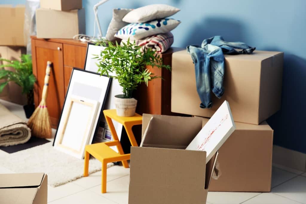 Unraveling the Distinct Roles of Packers and Professional Movers | by Best Bet Movers | Oct, 2023 | Medium