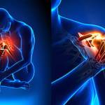 CBD Greenvibe Profile Picture