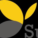 Suissu Channel Manager Profile Picture