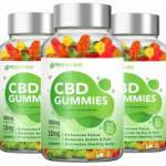 a84236774@gmail.com GreenVibe CBD Profile Picture
