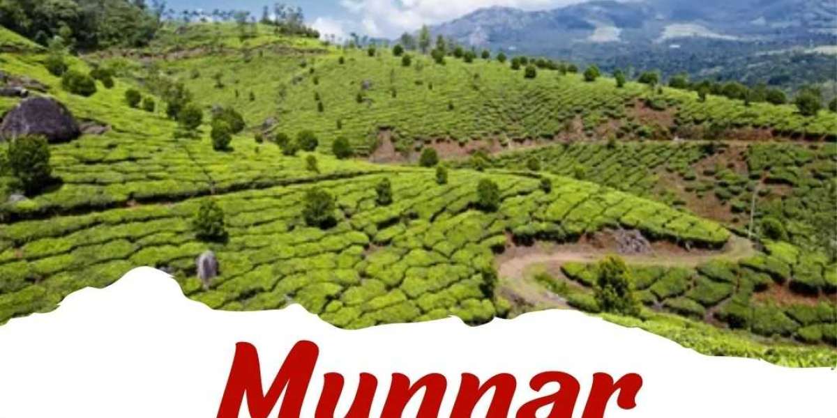Explore the Best Munnar Tour Packages from Major Indian Cities