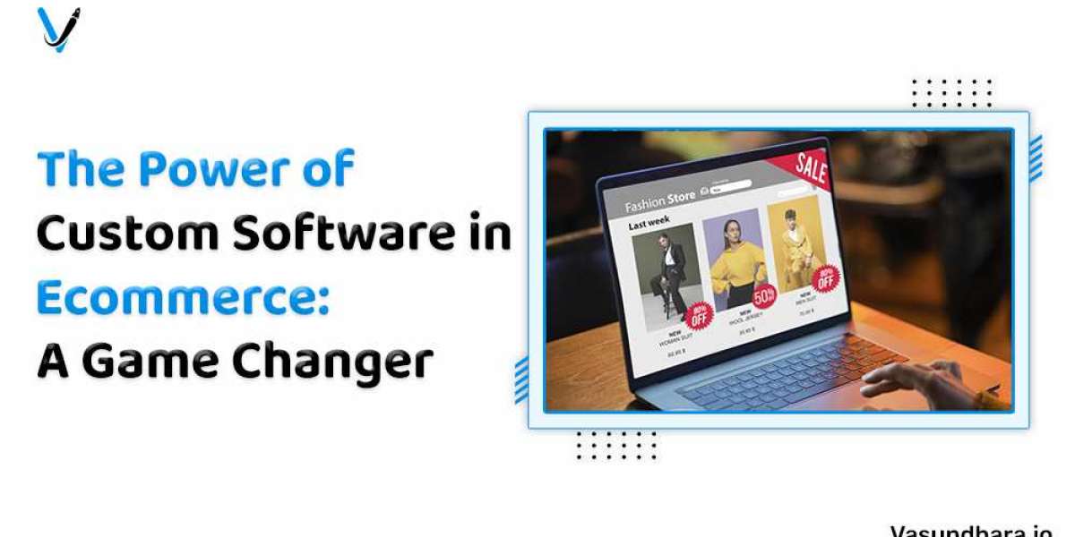 The Power of Custom Software in Ecommerce: A Game Changer