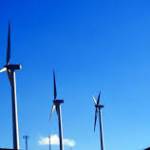 pinky1 Profile Picture