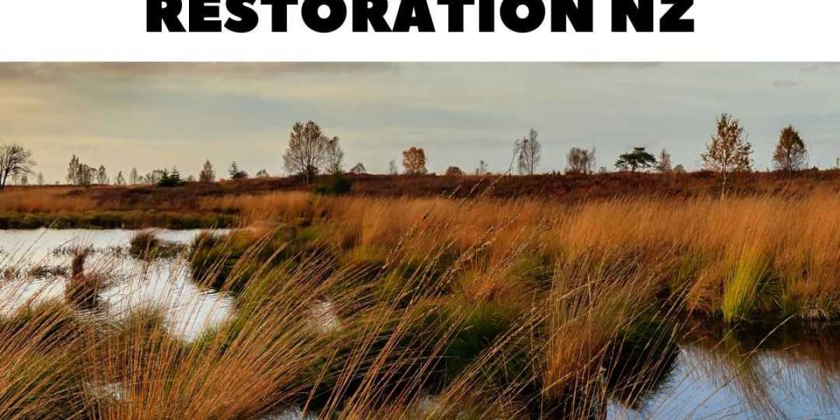 Reasons why restoring damaged wetland areas is good for people's health and wildlife