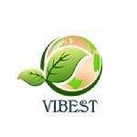 Vibest International Profile Picture