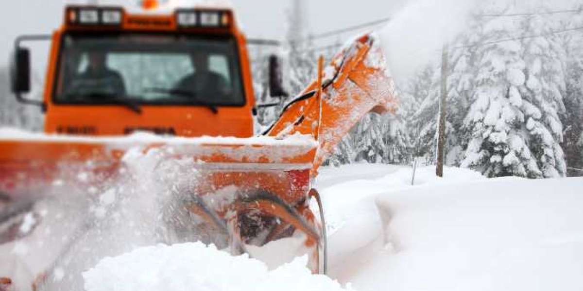 Getting Rid of Snow: How to Pick the Best Company