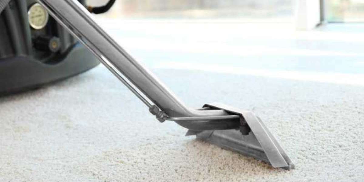 Revitalize Your Home with Steam Cleaning in Burnaby: A Carpet Transformation