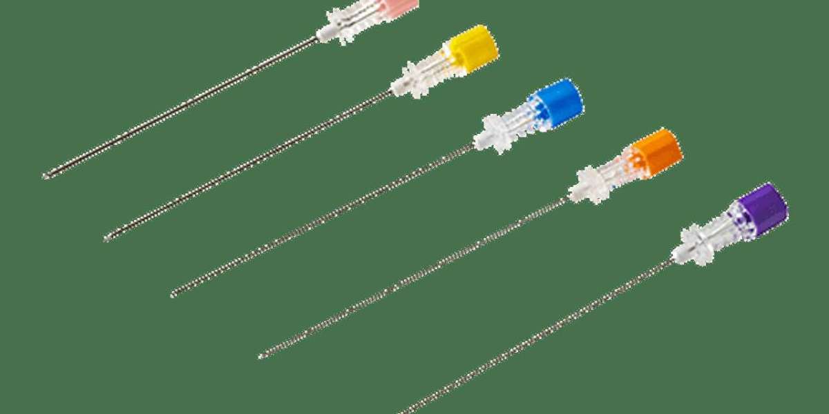 Spinal Needle for Medical Procedure