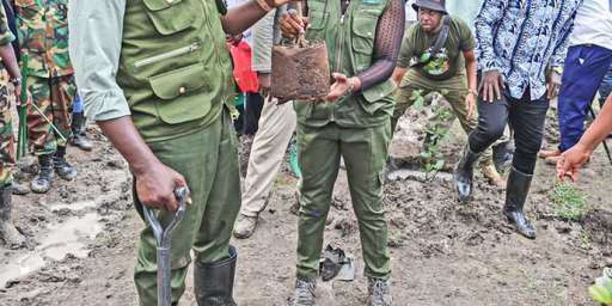Business Daily <br>Advertisement <br> <br>IMF deal behind Kenya’s forest cover drive <br>Tuesday November 14 2023 <br>In