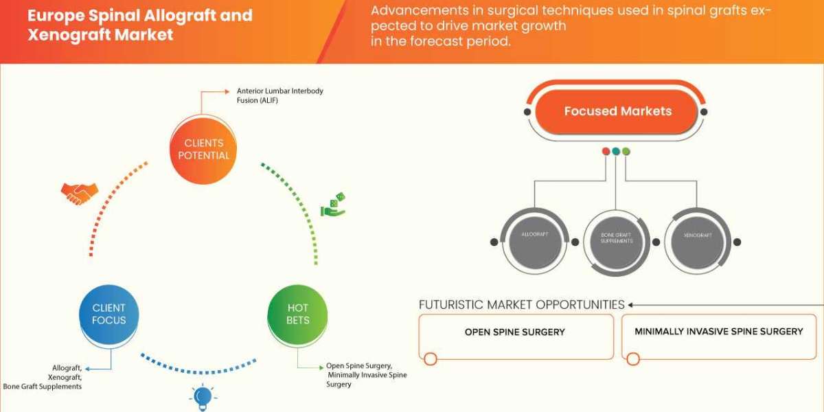 Europe Spinal Allografts and Xenograft Market Scope amd Forecast by 2030.