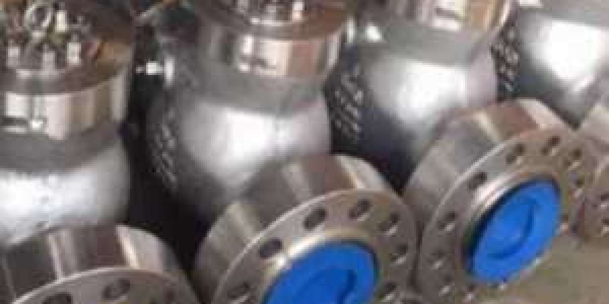 Swing Check Valve Manufacturer in USA