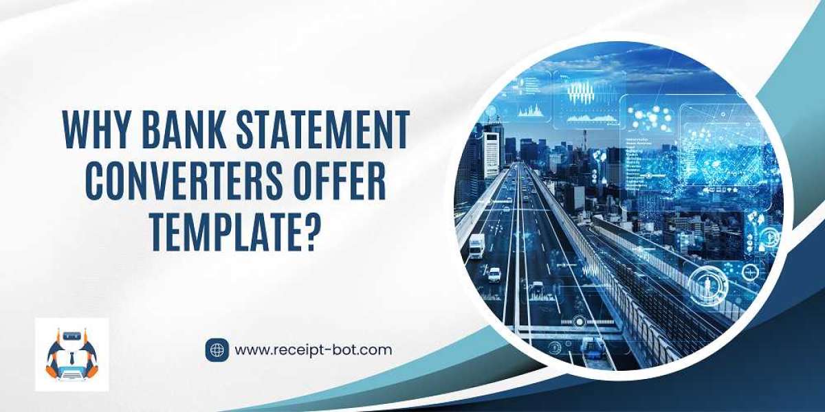 Why Bank Statement Converters Offer Template?
