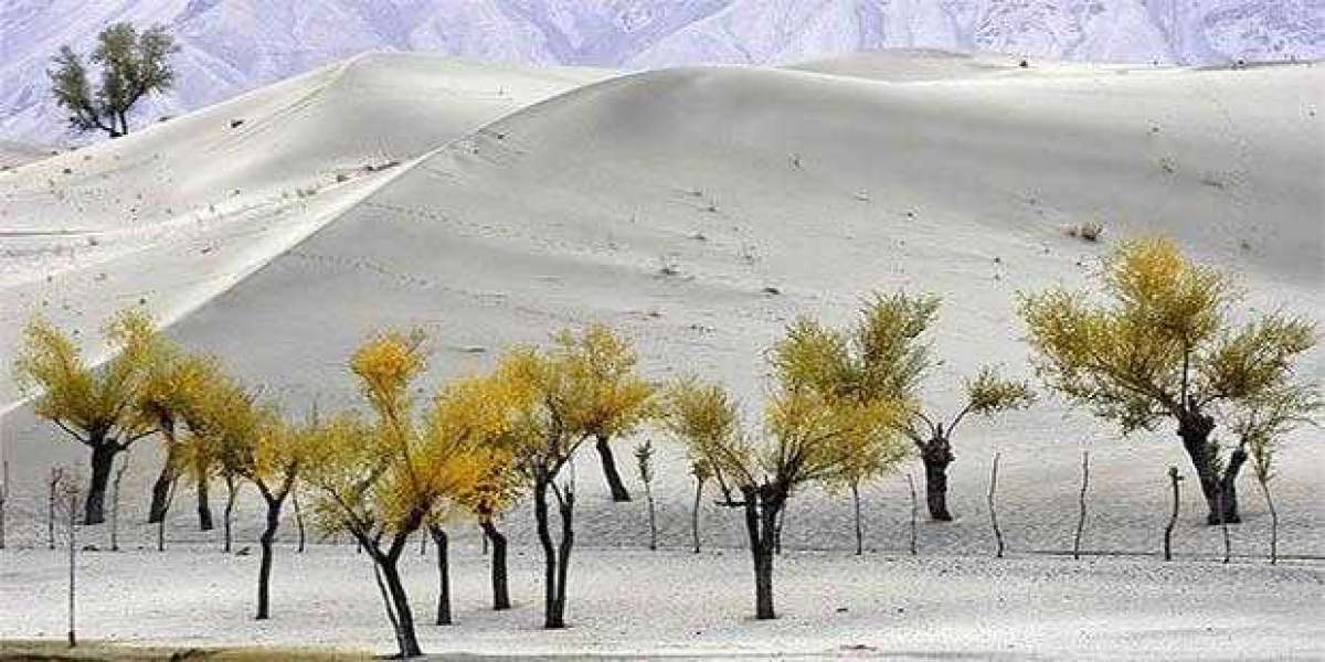 Skardu: The Epitome of Pakistan's Natural Beauty