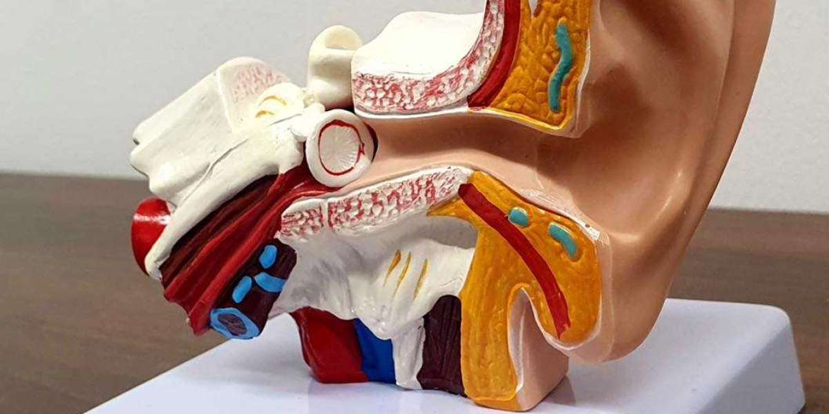 Why Hearing Wax is Crucial and Just how to Eliminate it Properly