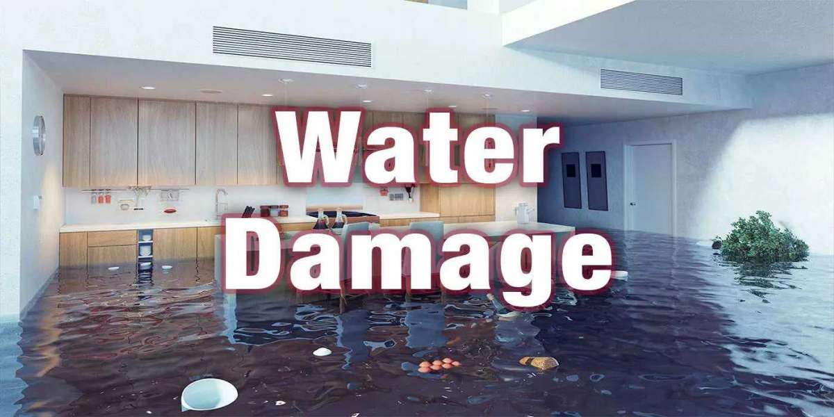 What to Expect During Professional Water Damage Restoration in Bradenton?